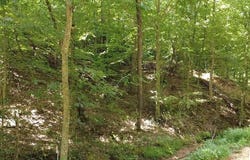 Fuller Harding Road, Campbellsville, KY 42718