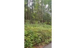 Stockburger Road, East Haddam, CT 06423