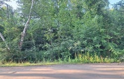 Birchwood Road, Worth Twp, MI 48450