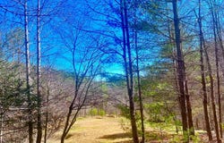 Riverside Dr lot: 7, 9A, Independence, VA 24348