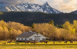 50 Tippet Trail, Darby, MT 59829