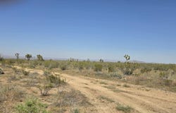175th St E / Ave W14, Llano, CA 93544