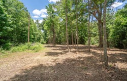 Parcel 4 Stovall Ln, Summit, MS 39666