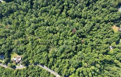 Nathan Mcdaniel Drive, Nebo, NC 28761