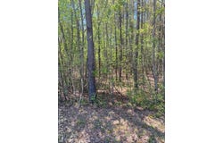 Tower Rd lot: 8, Brodnax, VA 23920