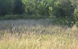 RT 58, Lowell, VT 05847