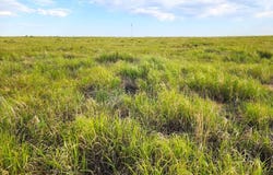 Boone Rd, Boone, CO 81025