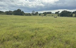 FM 2709, Eustace, TX 75124