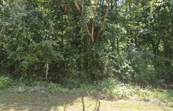 Longview Estates Dr lot: 2 & 3, Goodview, VA 24095