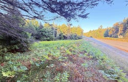 Stark Highway, Stark, NH 03582