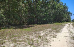 Sumac St, Interlachen, FL 32148