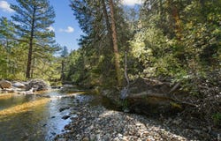 511 Riverside Dr, Lyons, CO 80540