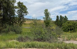 562 LAKESIDE Dr, Fish Haven, ID 83287