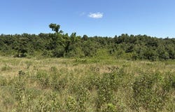 9999 Herron Rd, Ash Flat, AR 72513
