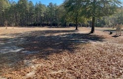 Harbor Rd, Andalusia, AL 36421