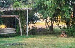 515 BALTIMORE St, Elgin, OR 97827