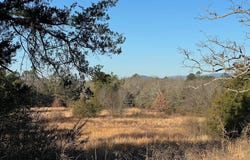 No 911 Elm Street, Waldron, AR 72958
