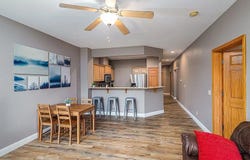 80 Celebration Cove Circle, Branson, MO 65616