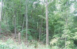 384 Back Pine Way, Ellijay, GA 30540