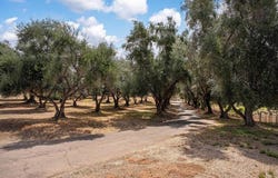 450 SUMMERHILL CT, Alpine, CA 91901