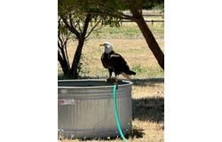 Interlake Road, Bradley, CA 93426
