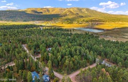 COUNTY ROAD 2196, Alpine, AZ 85920