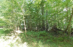 Cherry Wood Lane lot: 7, Terra Alta, WV 26764
