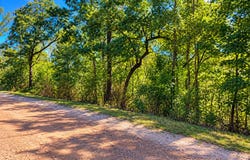 Luther Drive, Wedowee, AL 36278