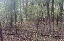 Middle Warren Rd, Pine Bluff, AR 71603