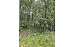 Pineywood Drive, Ringgold, GA 30736