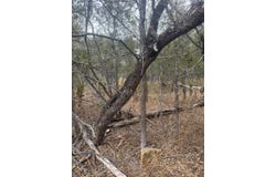 Riverside Dr lot: 298, 300, Bastrop, TX 78602