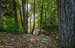 531 Wellington Pl, Hope, ID 83836