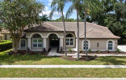 1384 FORESTEDGE Boulevard, OLDSMAR, FL 34677