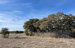4986 County Road 607, Hamilton, TX 76455