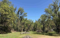 Groveland, CA 95321