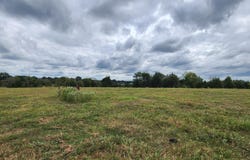 11.09 Bub Jamison Road, Coldwater, MS 38618