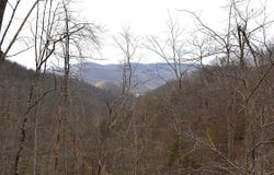 Snake Run Rd, Dawson, WV 24910