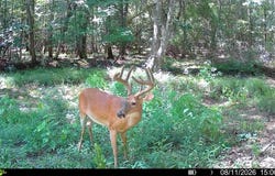 33375 Hwy 45, Leary, GA 39862