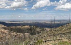 711 Saddle Ridge Rd, Bellvue, CO 80512