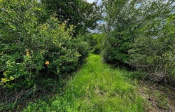 Water Oak Road, Columbus, TX 78934