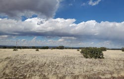 CR 5076, Concho, AZ 85924