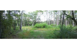 Parcel B Antioch Road, Crestview, FL 32536