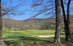 66 The Cliffs Parkway, Landrum, SC 29356