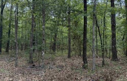 10200 Grant 75, Sheridan, AR 72150