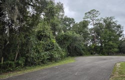 SE 23rd Ln, Trenton, FL 32693