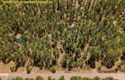 70 County Road 2266, Alpine, AZ 85920
