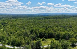 Martinfeld Rd, Greenfield Park, NY 12435