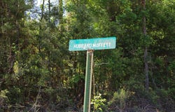 T.B.D. WILLARD TAYLOR RD, Dodson, LA 71422