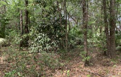 OLD WOODS Road, Interlachen, FL 32148