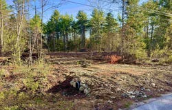 Gray Fox Road, Effingham, NH 03882